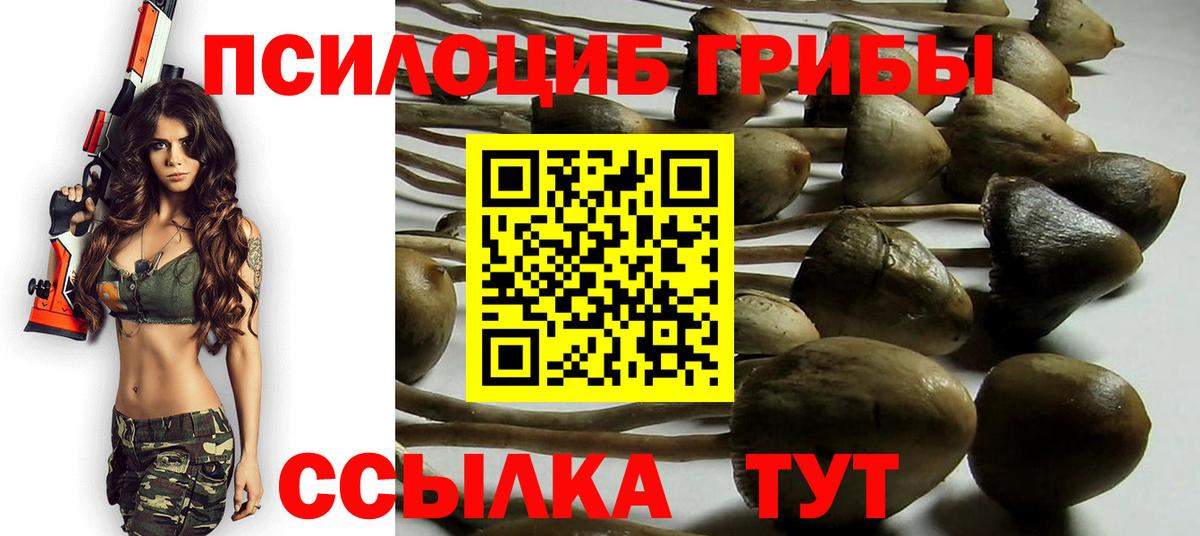 Галлюциногенные грибы прущие грибы Долгопрудный
