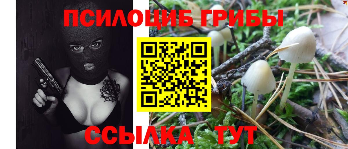Галлюциногенные грибы Cubensis  Галлюциногенные грибы GOLDEN TEACHER  Долгопрудный  Вход с VPN 